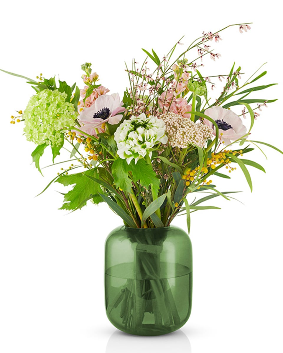 ואזת זכוכית Acorn - Idana Furniture