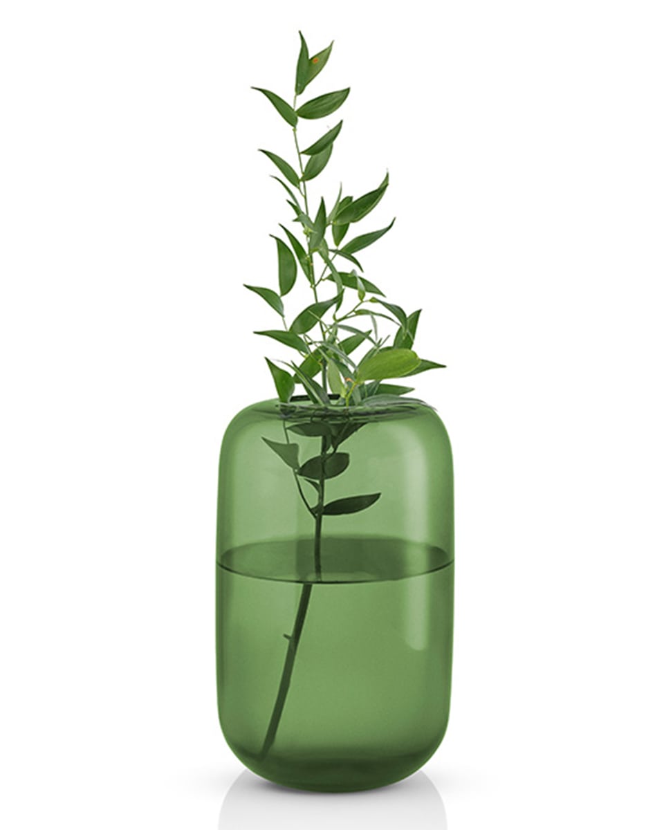 ואזת זכוכית Acorn - Idana Furniture