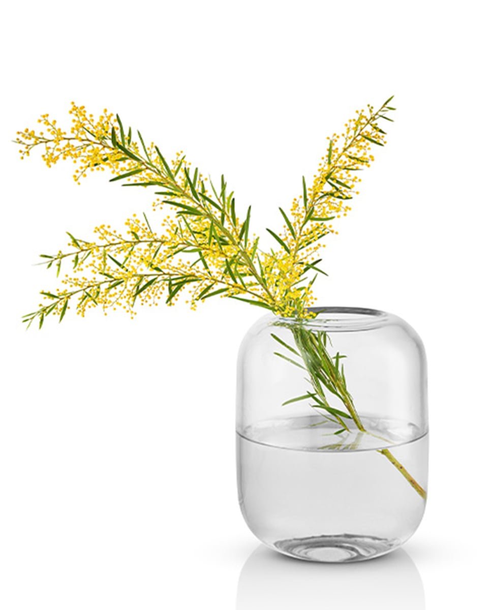 ואזת זכוכית Acorn - Idana Furniture