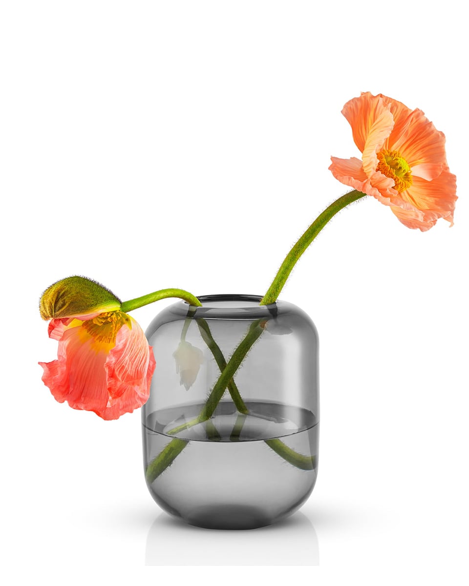 ואזת זכוכית Acorn - Idana Furniture