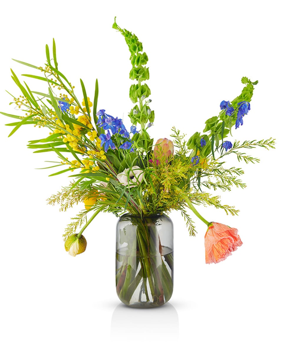 ואזת זכוכית Acorn - Idana Furniture