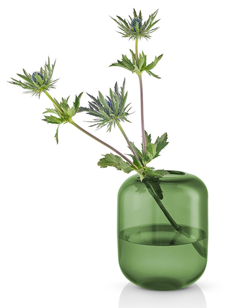 ואזת זכוכית Acorn - Idana Furniture