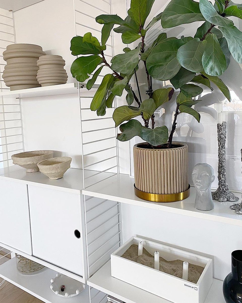 ספריית מדפים מעוצבת - Idana Furniture