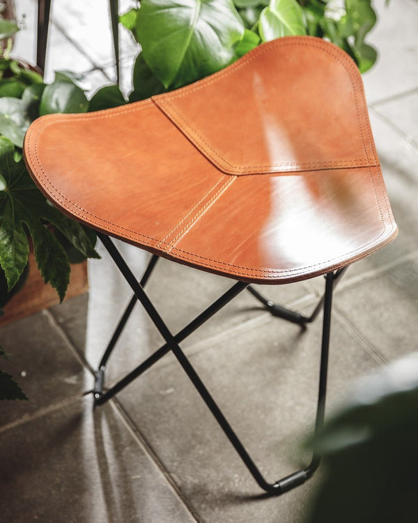 הדום Flying Goose - Idana Furniture